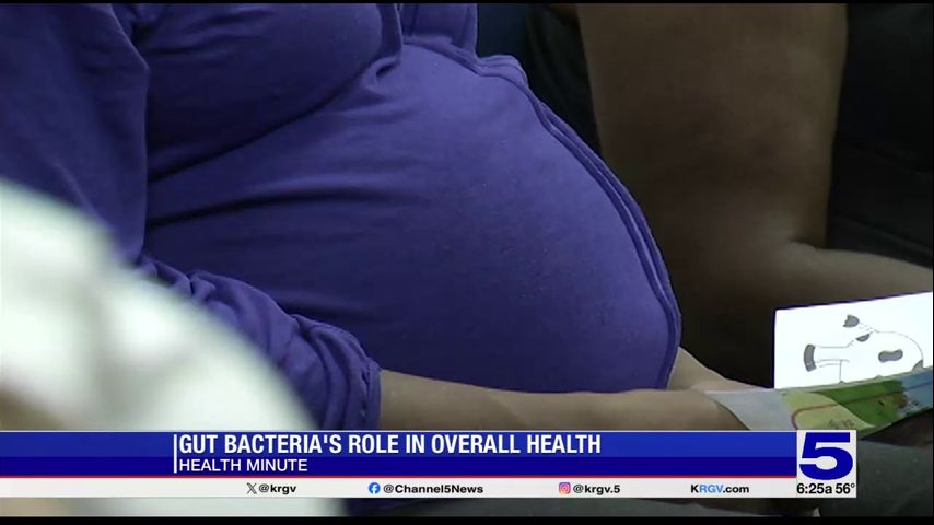 Gut Bacteria: Key to Health, Aging, and Mental Well-being