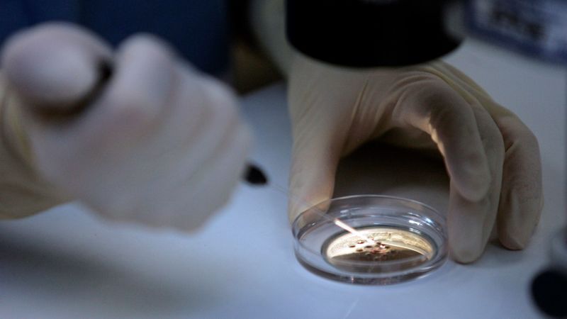 Featured image for Alabama Supreme Court's Ruling on Frozen Embryos Sparks Fear and Confusion