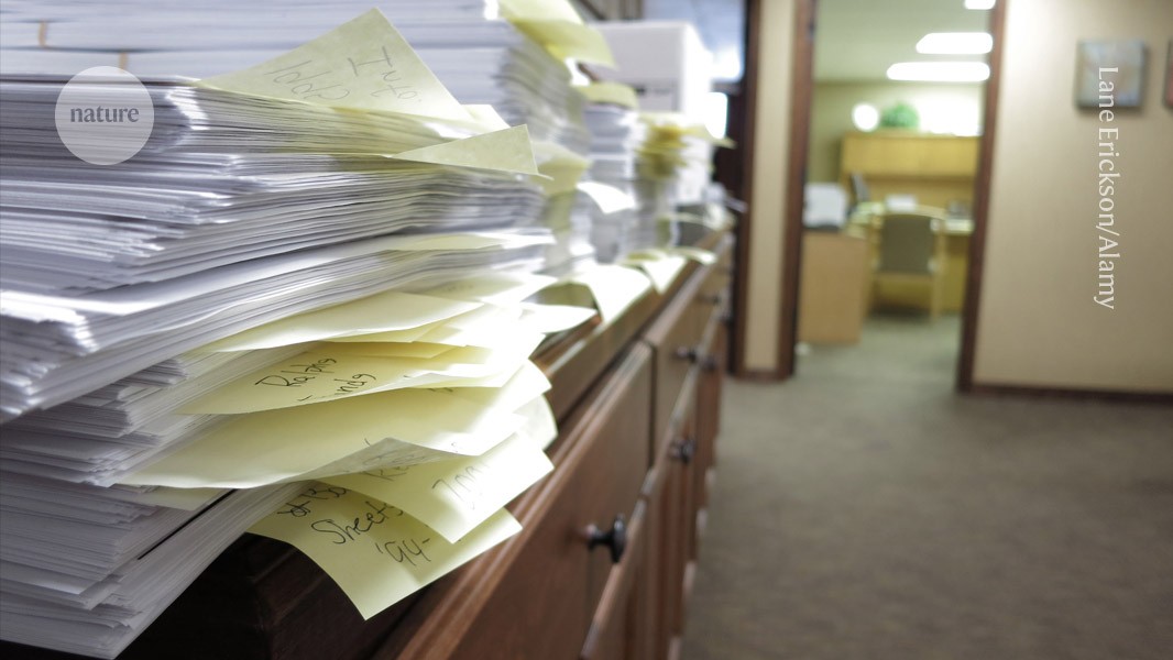 Featured image for Europe's Largest Paper Mill and Ukrainian Research Network