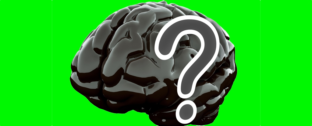 "Scientists Pinpoint Brain Region Driving Curiosity"
