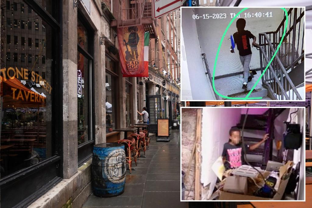 Featured image for Rampant Child Theft Epidemic Plagues NYC Businesses