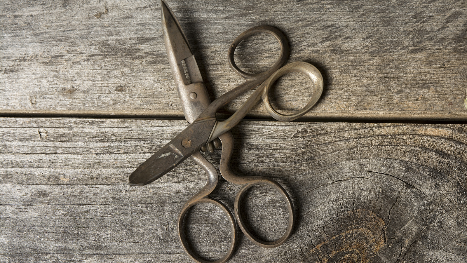 Featured image for Revive Your Old Scissors with This Simple Hack