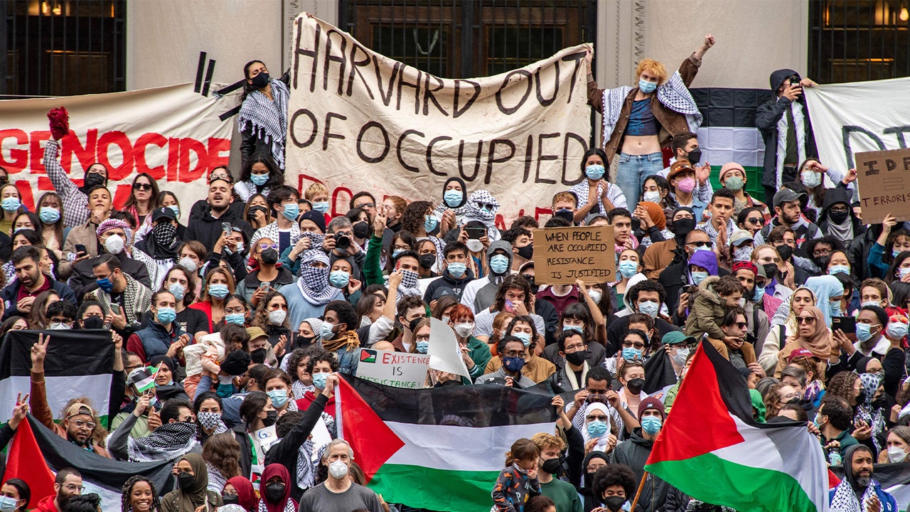 "Controversy in Germany Over Legality and Policing of Pro-Palestinian Rallies"
