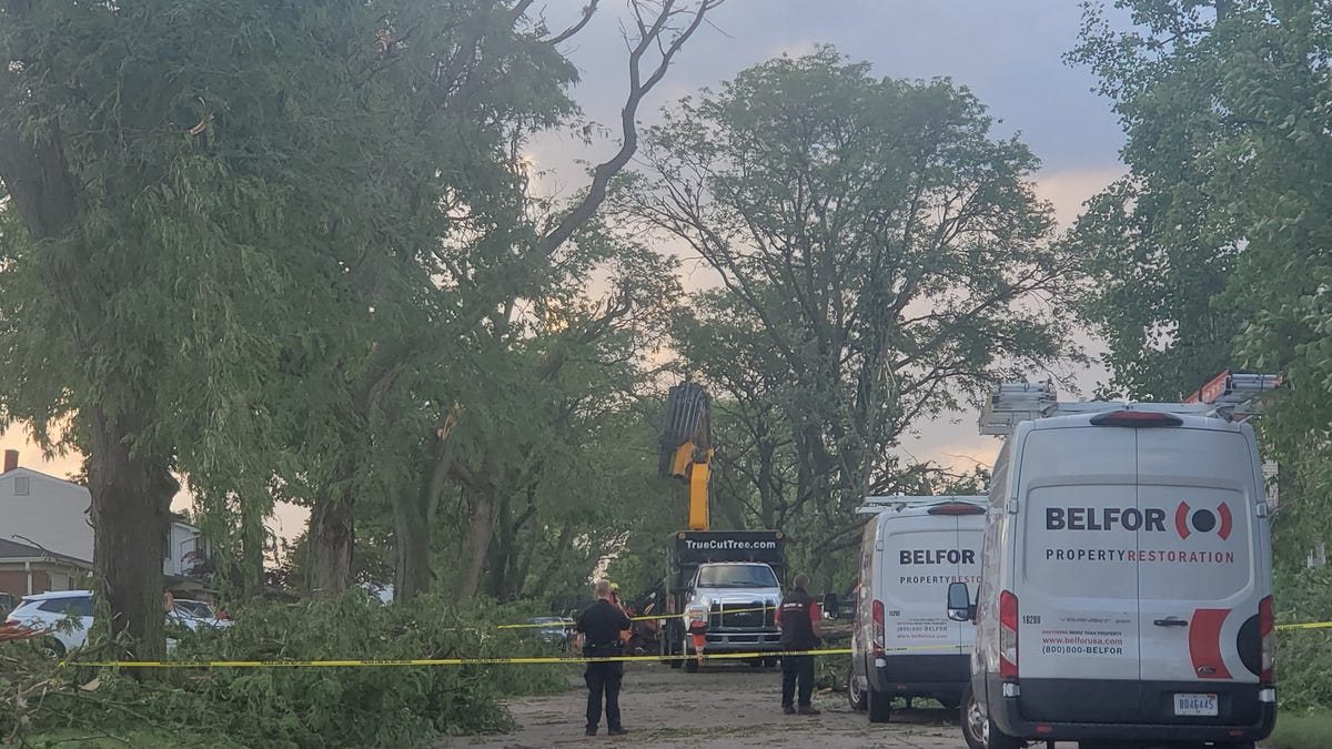 Featured image for Livonia Tornado Claims Toddler's Life, Injures Mother