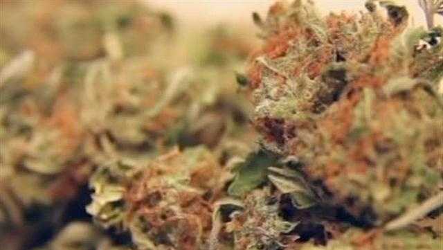 Featured image for "Surprising Discovery: Synthetic Cannabis in New York Contaminated with Opioids"