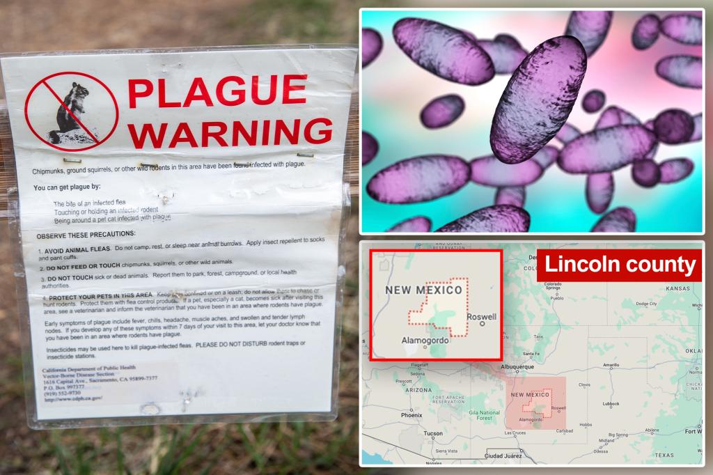 Featured image for "Fatal Bubonic Plague Case in US Raises Concerns Over Rodent-Borne Disease Risk"