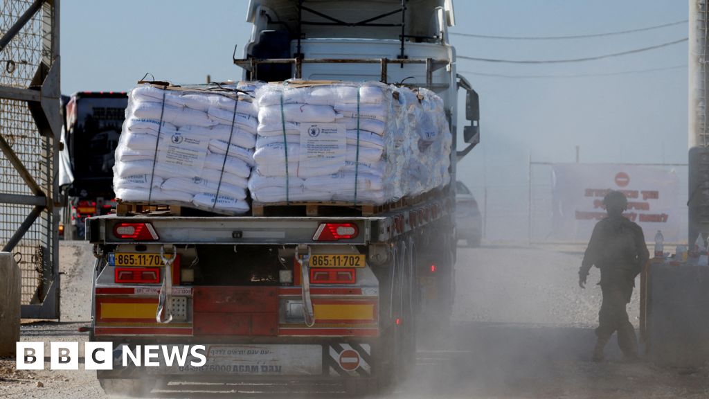 Gaza Aid Crisis: Gangs, Looting, and Looming Famine