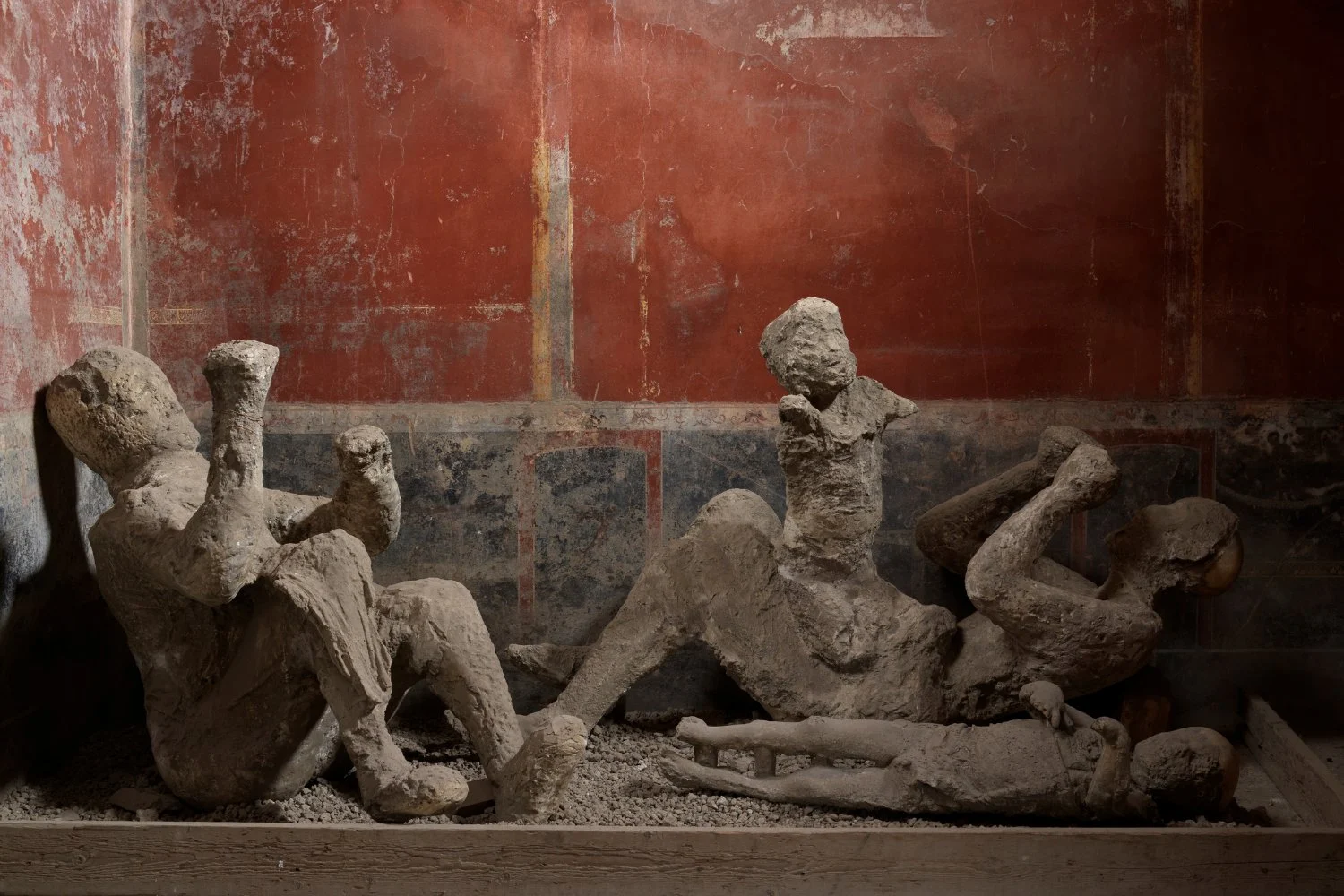 Featured image for Pompeii DNA Unveils Unexpected Stories of Ancient Lives