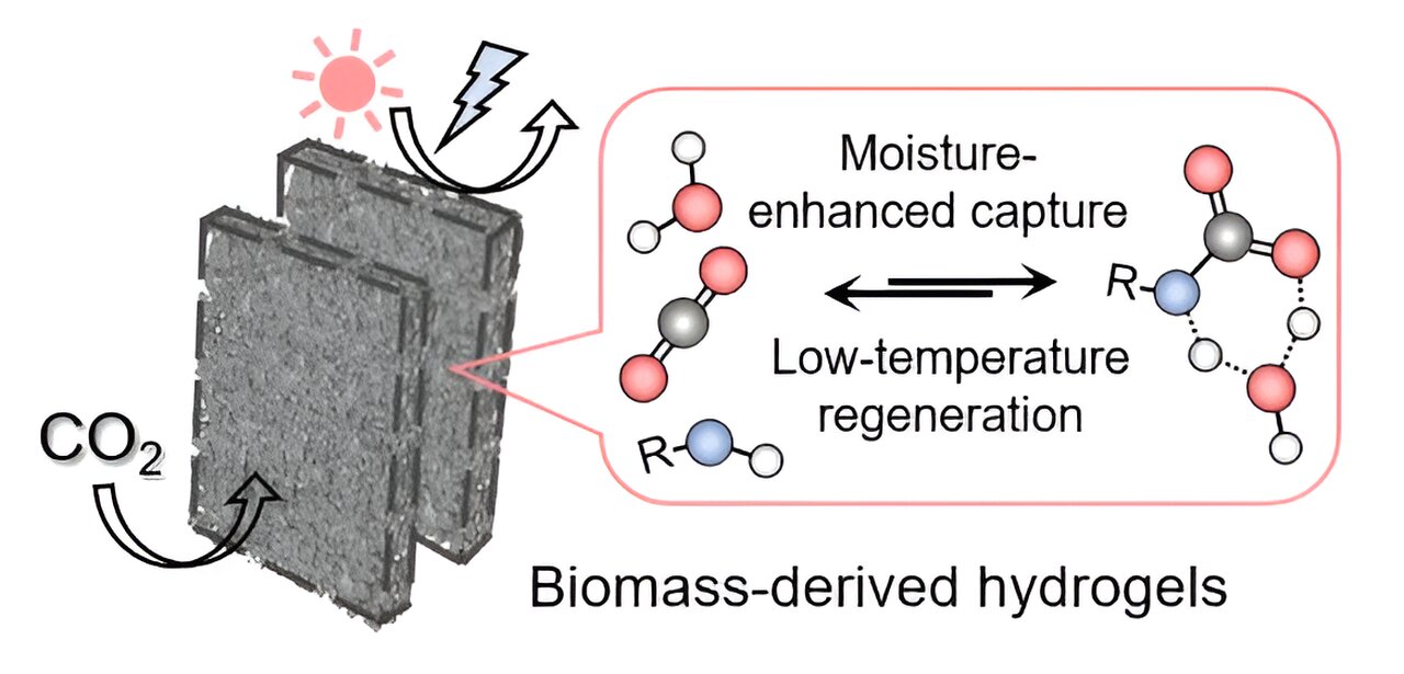 Featured image for "Breakthrough: Sustainable Gel Film Captures Carbon Dioxide at Lower Energy Cost"