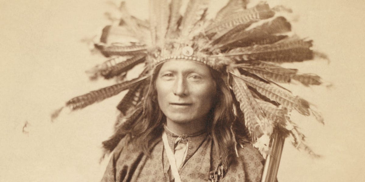 Featured image for "The Fascinating History and Facts Behind Thanksgiving's Beloved Bird, the Turkey"