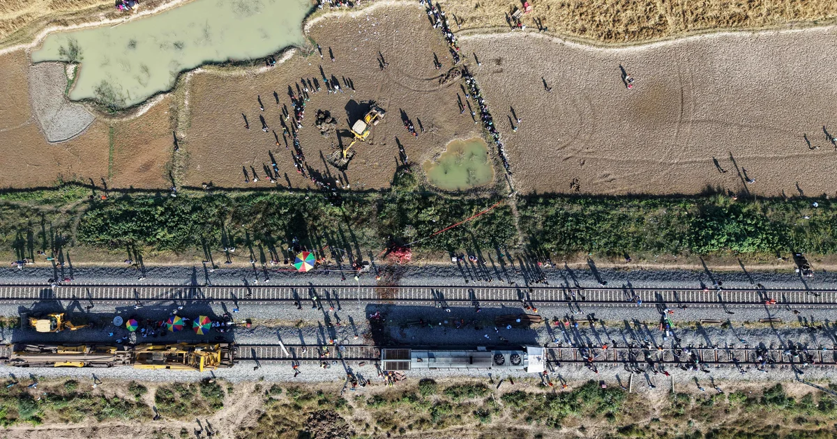 Featured image for Seven Elephants Killed in Train Collision in India