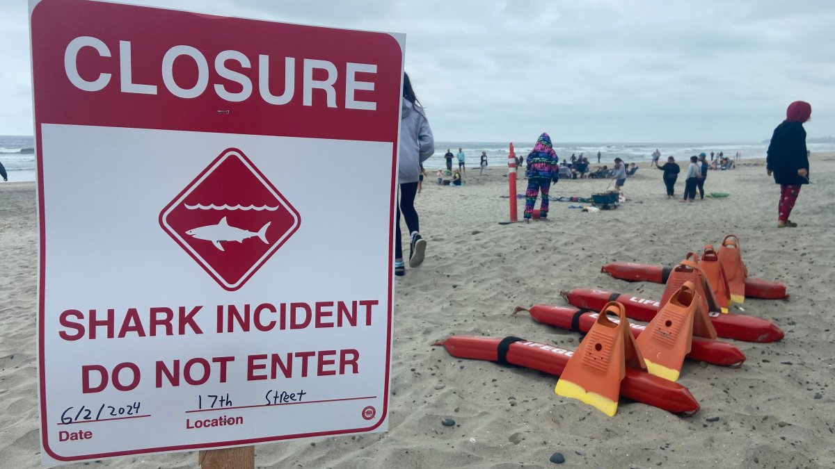 Featured image for Shark Attack in Del Mar Leads to Beach Closures