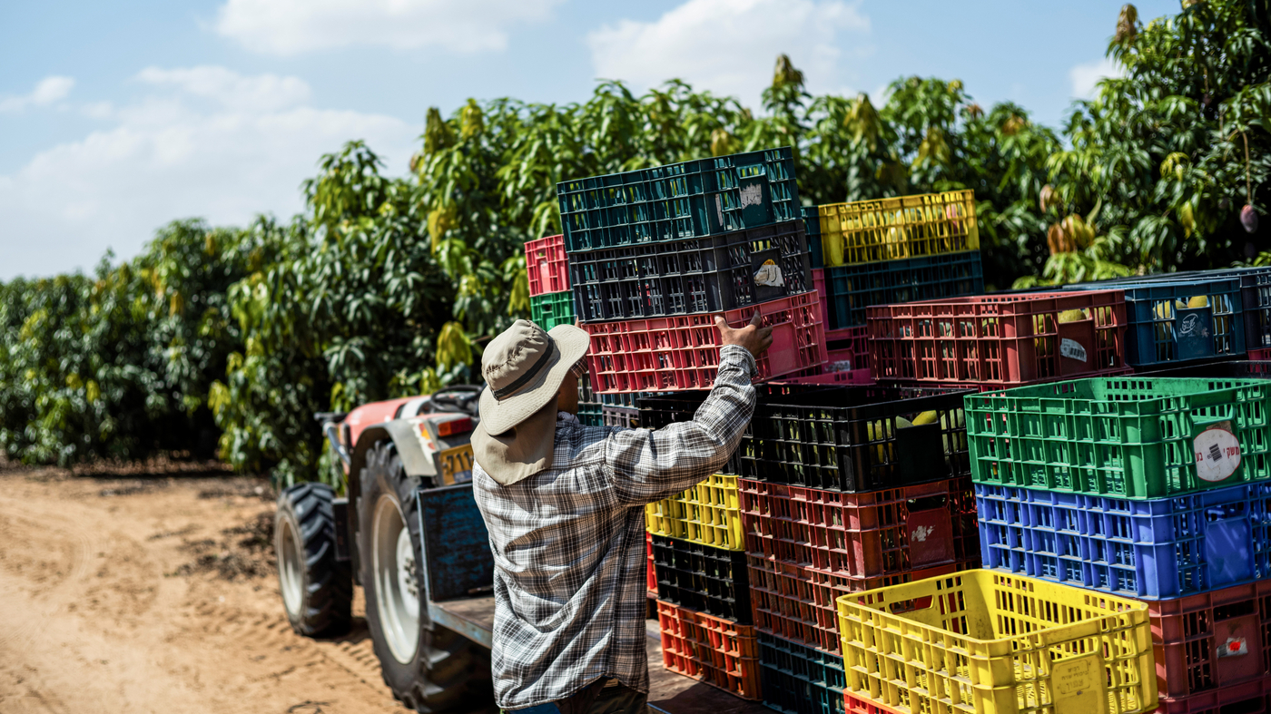 Thai Workers in Israel: Caught in the Crossfire