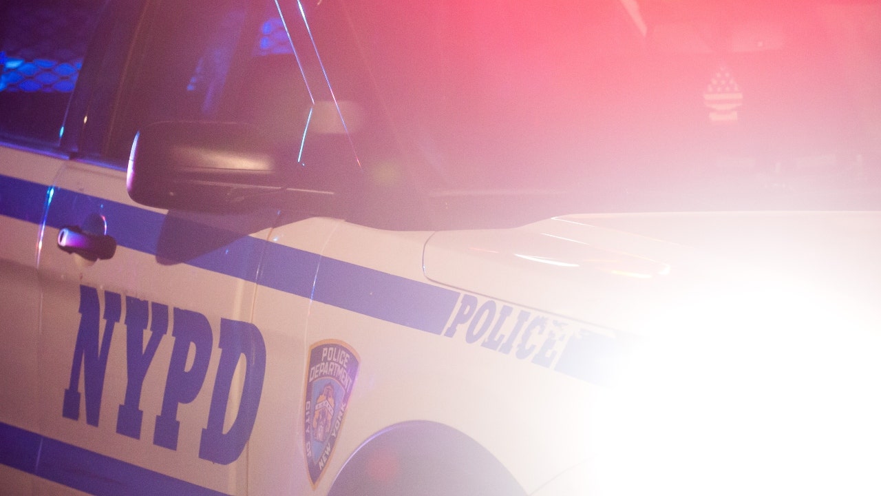 NYC garage worker charged with attempted murder for shooting thief.