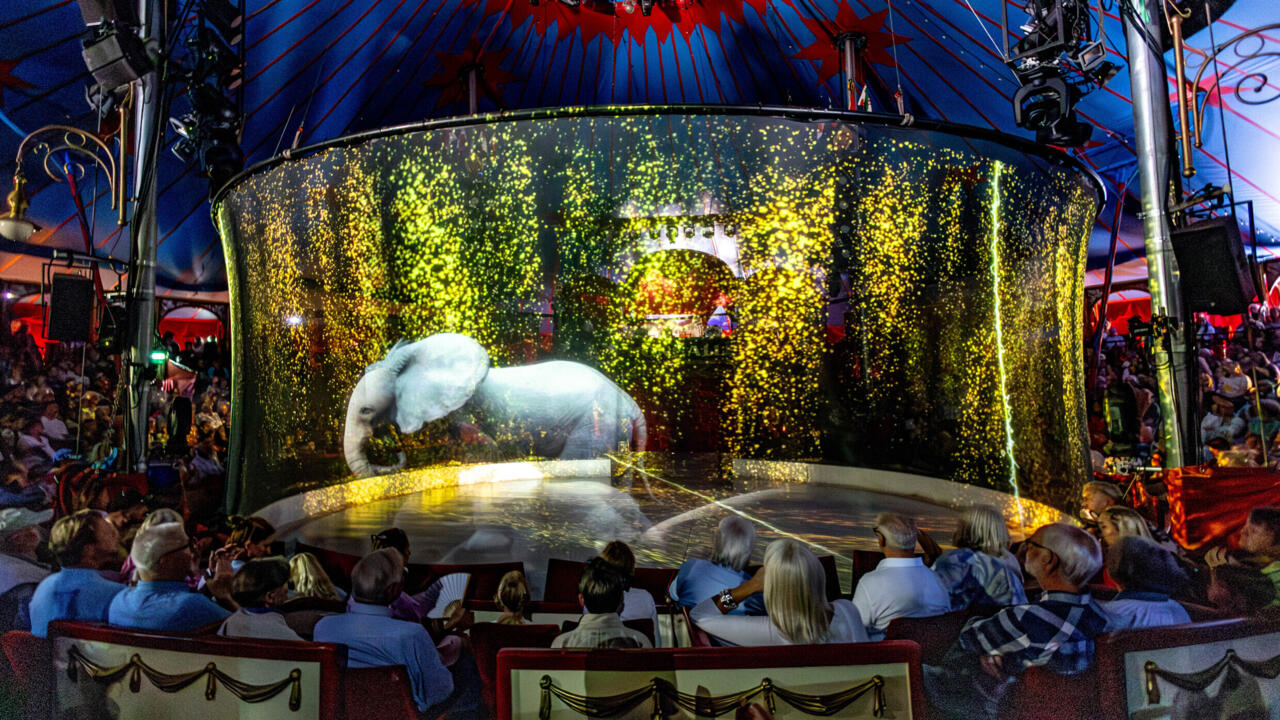 Featured image for "Revolutionizing Circuses: German Show Dazzles Audiences with Holographic Animals"