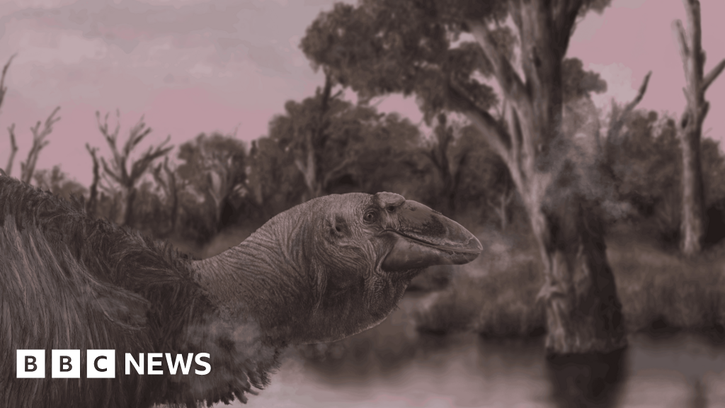 Featured image for "Fossil of Giant Prehistoric 'Giga-Goose' Unearthed in Australia"