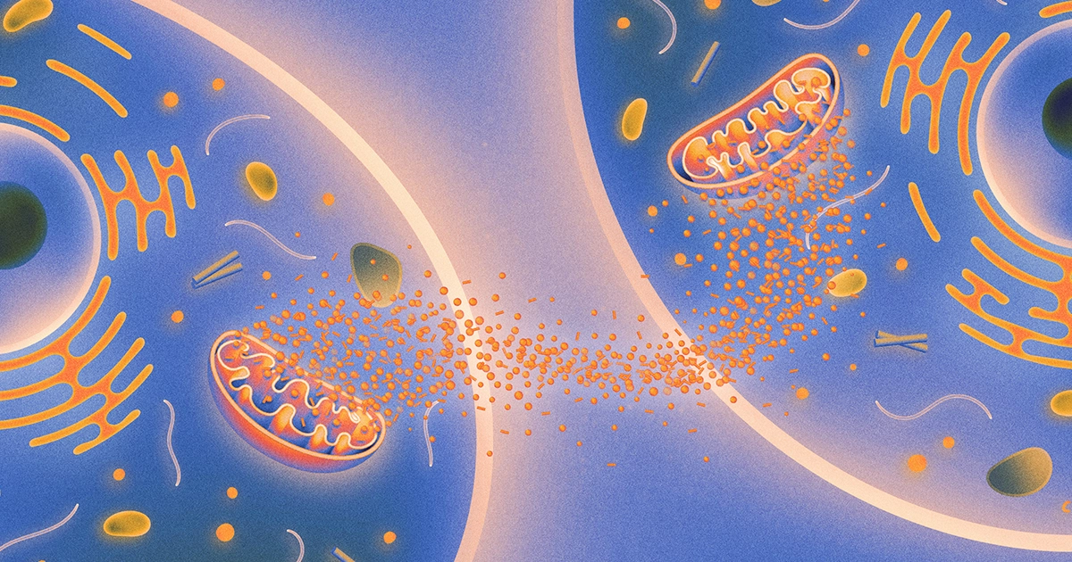 Featured image for "Inter-Cellular Communication in Aging Processes"