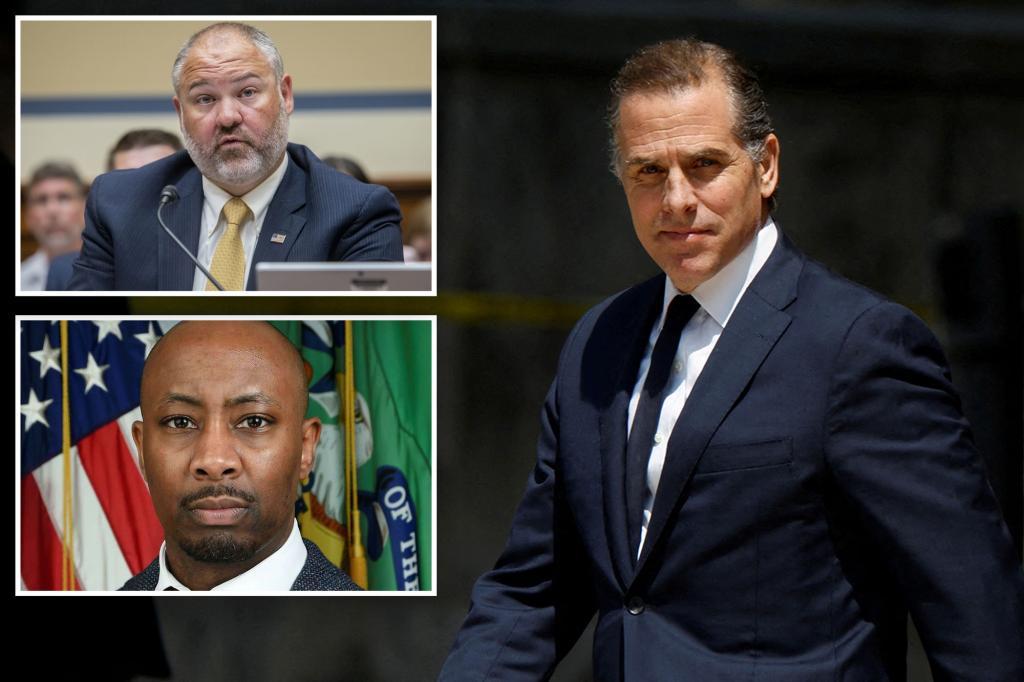 "Whistleblower's Removal and Threats: The Ongoing Hunter Biden Probe"