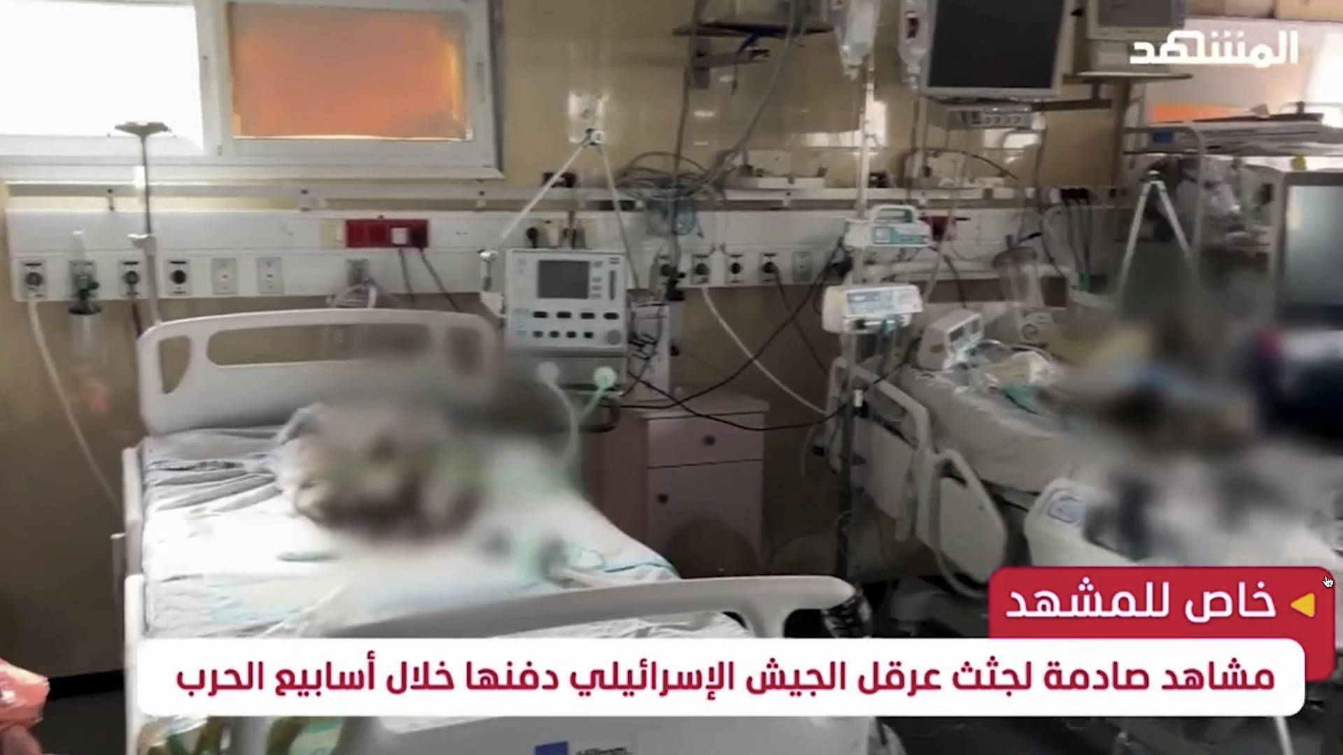 Featured image for Tragic Discovery: Decomposed Bodies of Premature Babies Uncovered in Gaza Hospital