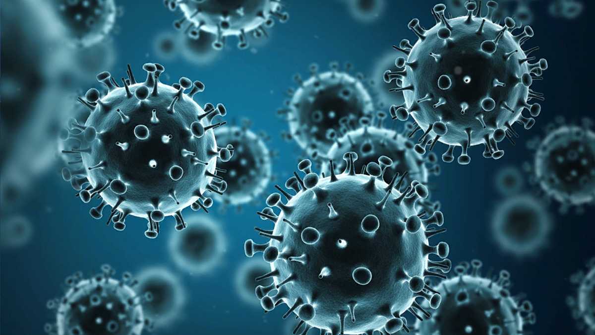 Featured image for "North Carolina Faces Surge in Flu and COVID Hospitalizations Amid Holiday Season"