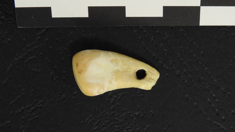 Uncovering the Owner of a 25,000-Year-Old Pendant through DNA Analysis