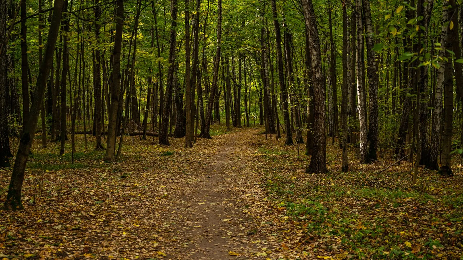 Hikers Outraged by Growing Litter Problem on Trails
