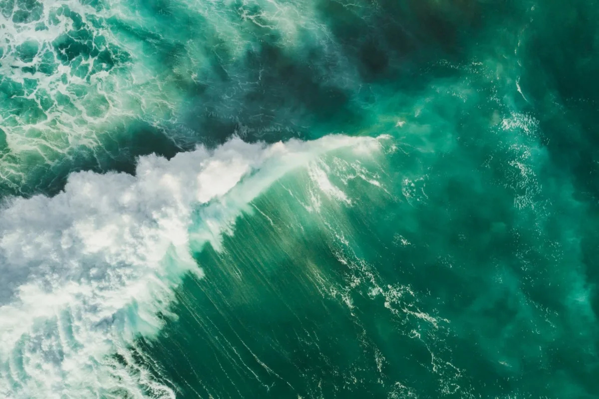 Ocean Color Change: A Global Warning