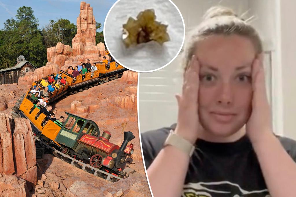 Kidney Stone Passes at Disney World