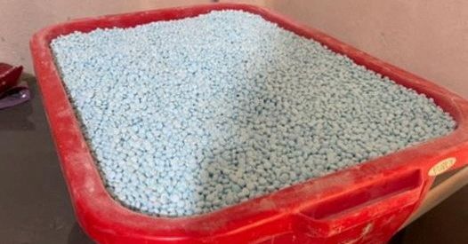 Mexico's Fentanyl Problem: Raids, Counterfeit Pills, and Massive Seizures.