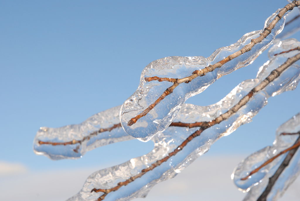 "Unpredictable Winter Weather Threatens Christmas Cheer in Multiple Regions"