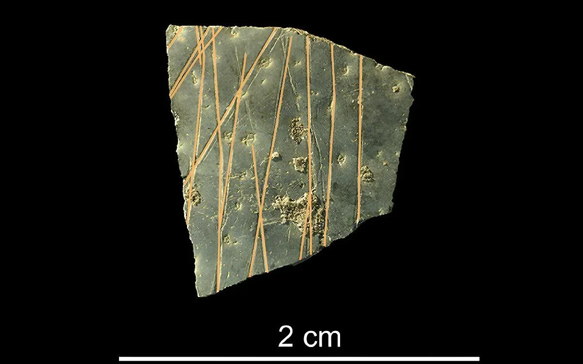 60k-year-old engravings reveal early humans’ geometric grammar