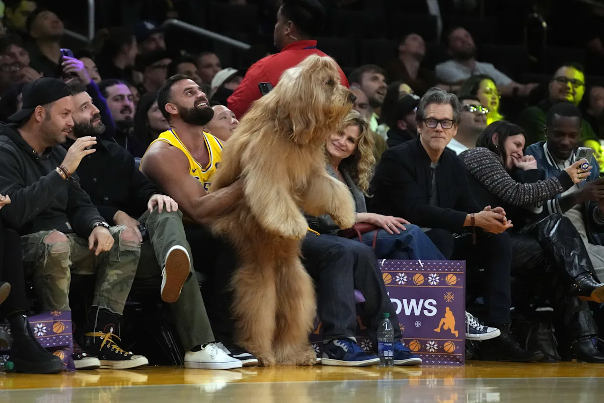 Featured image for "Brodie the Famous Dog Steals the Show at Lakers Game with Kevin Bacon"