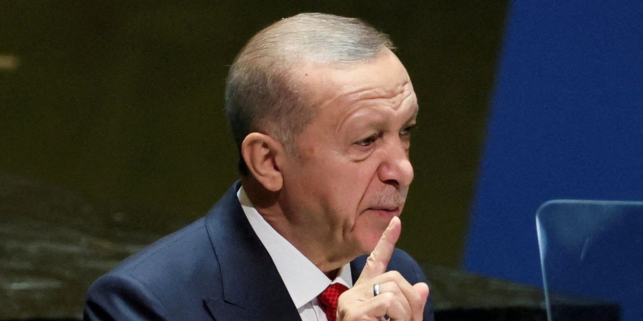 Erdogan's Controversial Stance on Hamas and Gaza Raises Concerns