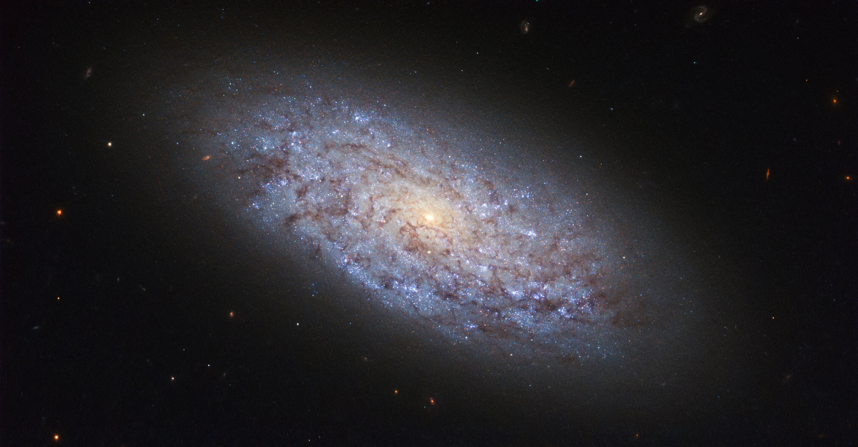 The Mysterious Connection Between Gravity and Dark Matter.
