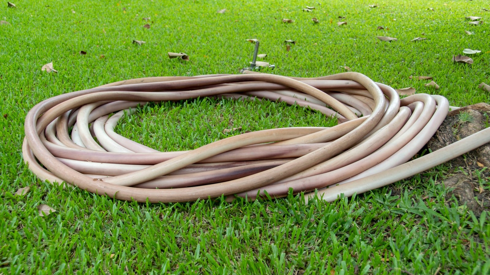Featured image for "Transforming Your Old Hose into a Garden Essential: Repurposing Tips"