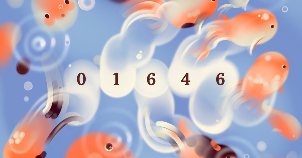 Featured image for Wordle #1646 Tips and Solutions for December 21, 2025