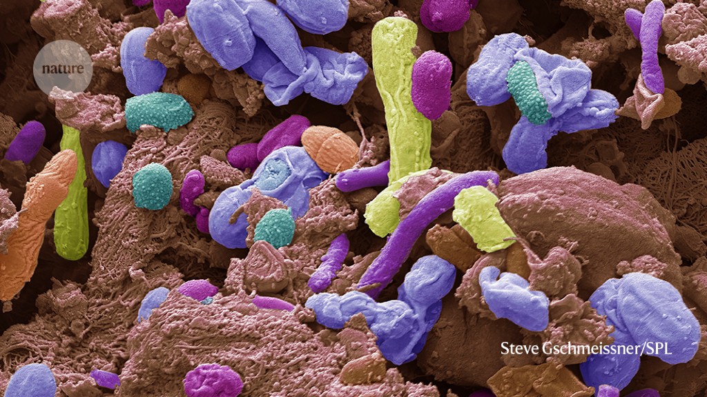 Featured image for The Surprising Connection Between the Brain and Body