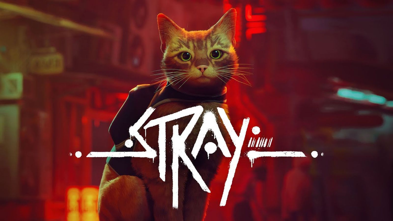 Featured image for "Stray: The Ultimate Adventure Game for Apple Silicon Macs"