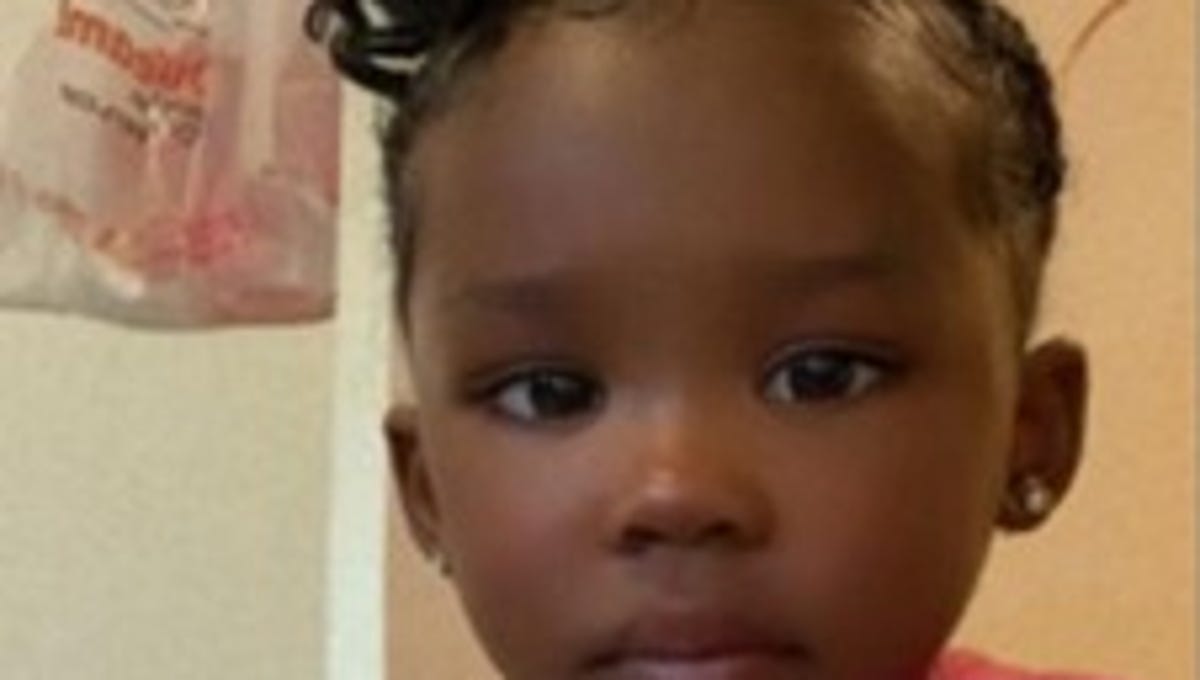 "Search for Missing Lansing Toddler Continues Despite Arrest of Suspect"