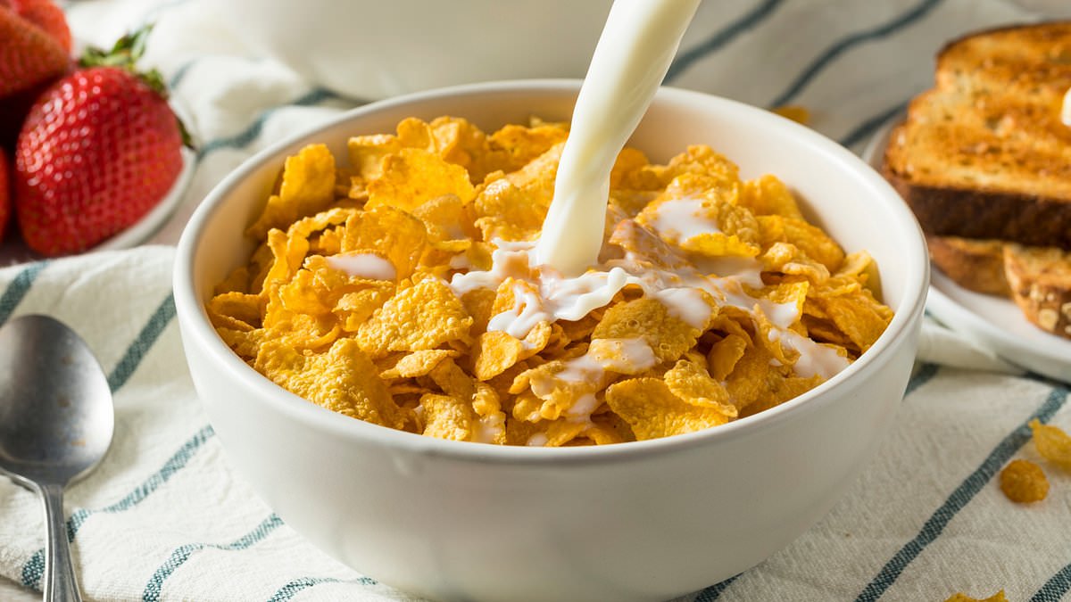 Featured image for "Potential Health Risks of Niacin Fortification in Common Foods"