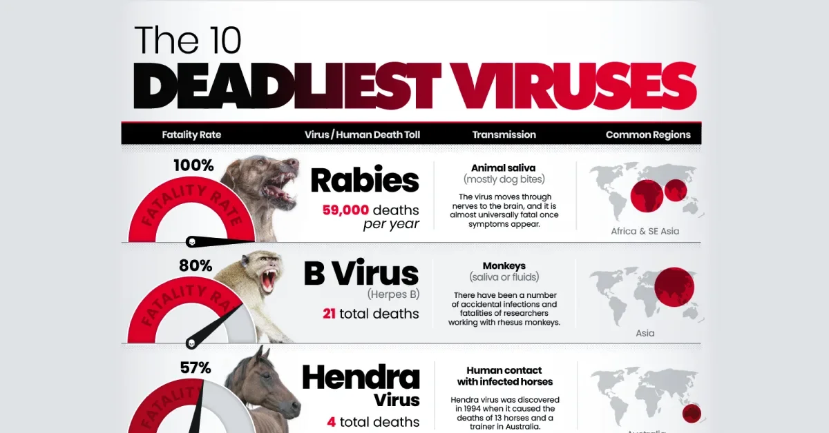 Rabies Tops Global List as Most Lethal Virus by Fatality Rate