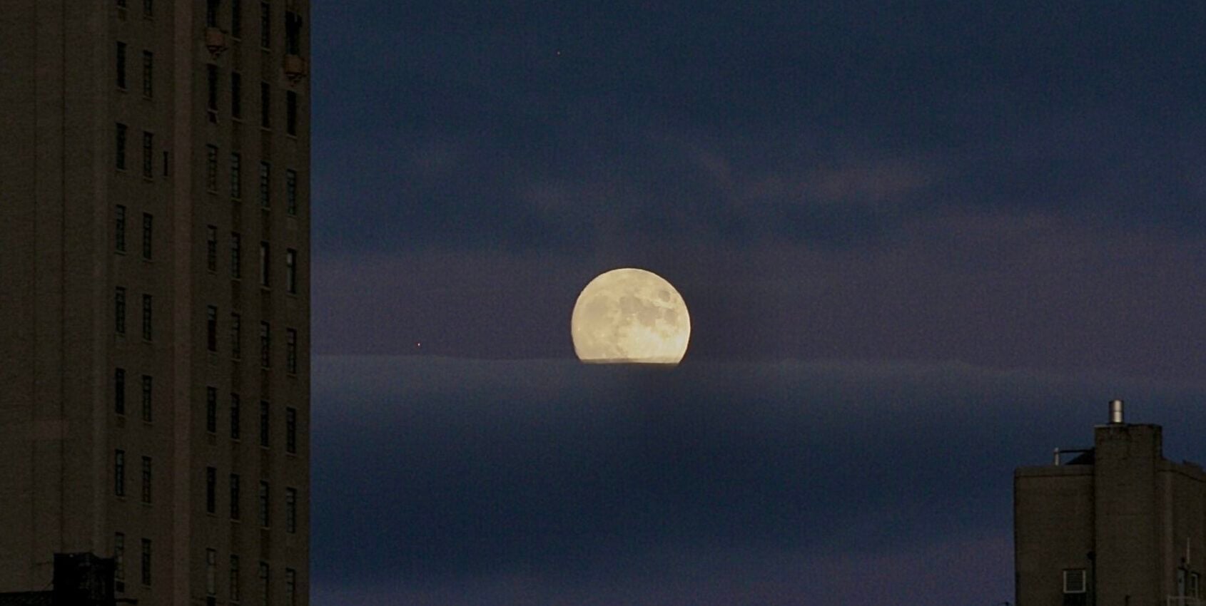 Featured image for Weekly UWS Updates: Litter, Congestion, Wildlife, and Real Estate