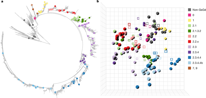 Vaccine Offers Broad Immunity Against A(H5) Influenza Strains