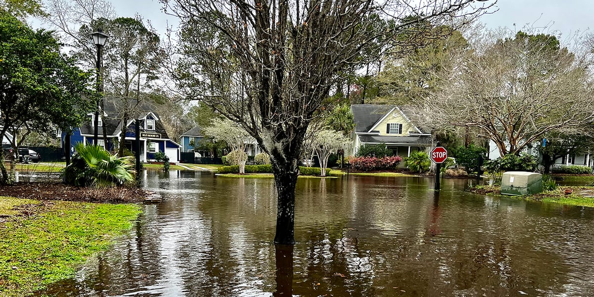 Featured image for "Lowcountry Deluged: Record Rainfall Causes Severe Flooding and Damage"