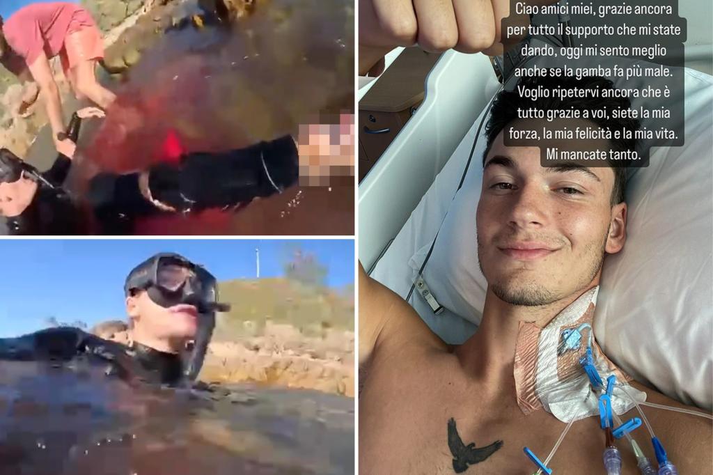 Featured image for Survivor's Escape: Marine Biology Student's Terrifying Shark Attack Caught on Video