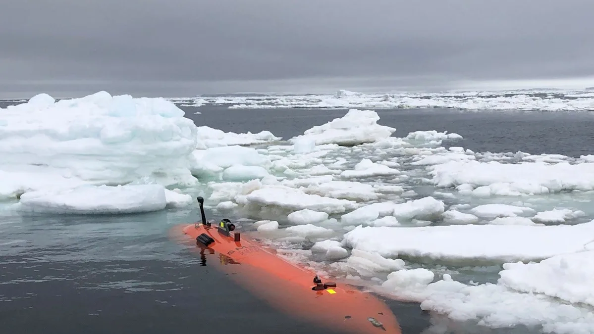 Featured image for Submersible Reveals Hidden Antarctic Structures Before Vanishing