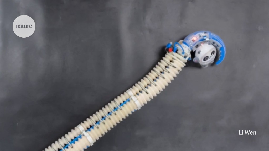 Featured image for "Exploring the Fascinating World of Octopus-Inspired Robotic Arms"