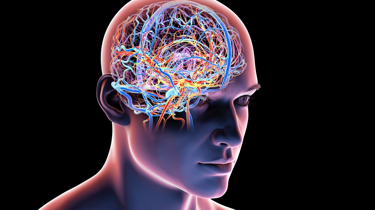 Featured image for Top Habits to Maintain Brain Health and Sharpness at Any Age