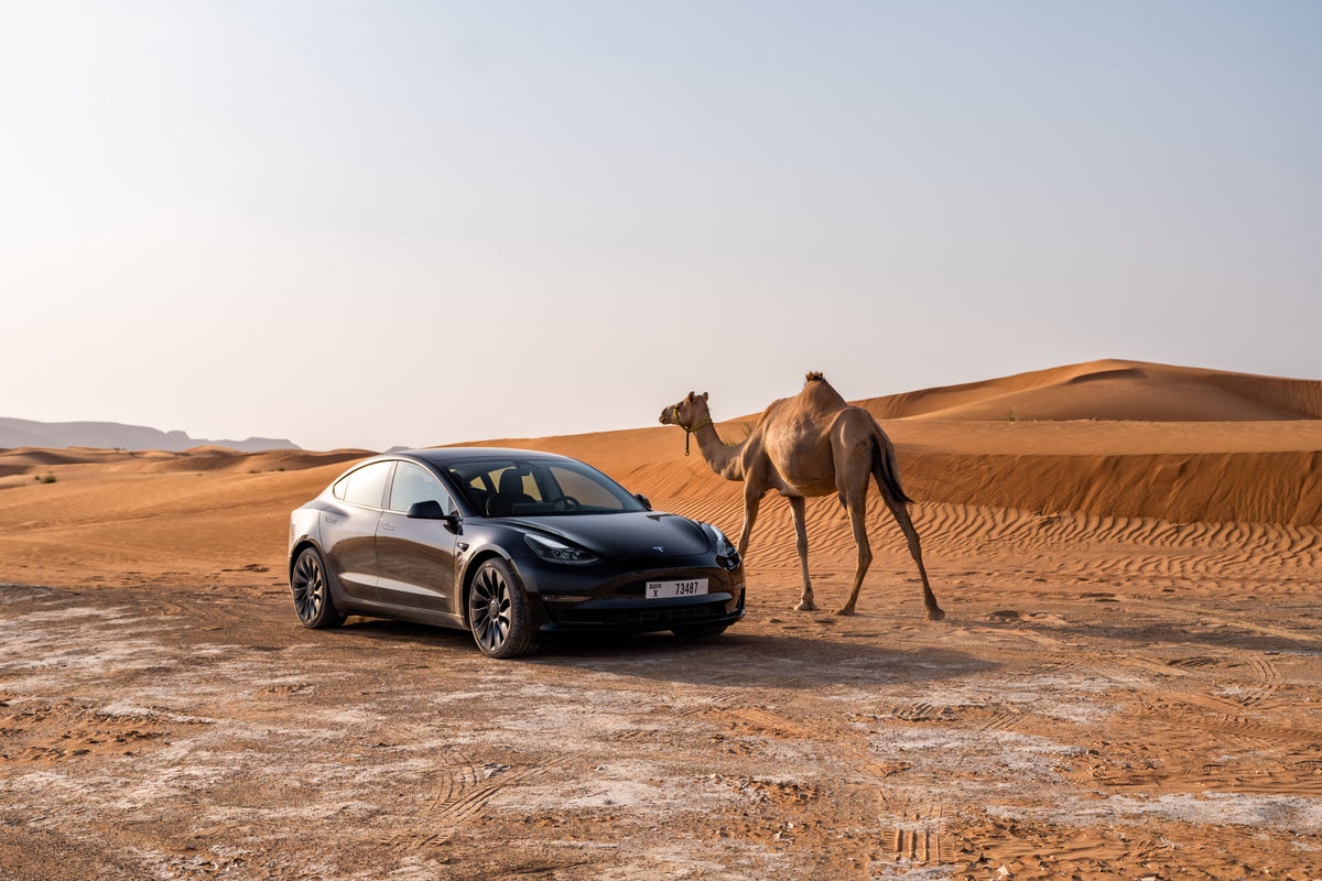 Tesla's Self-Driving Woes: Engineers Pushed to Keep Radar, but Musk Removed It Anyway.