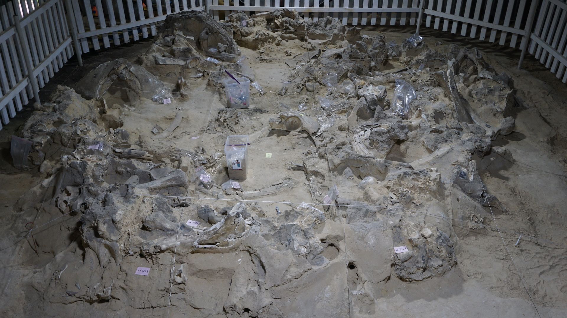 Featured image for Ice Age Humans Crafted Mammoth Bone Dwellings in Ukraine 18,000 Years Ago